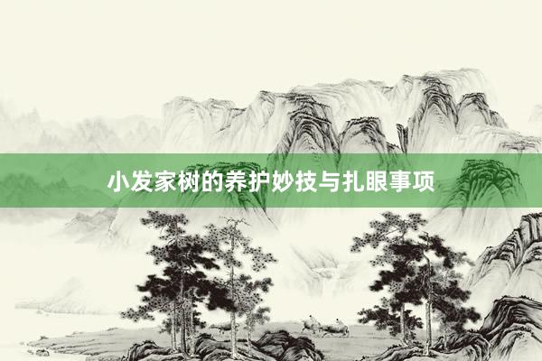 小发家树的养护妙技与扎眼事项