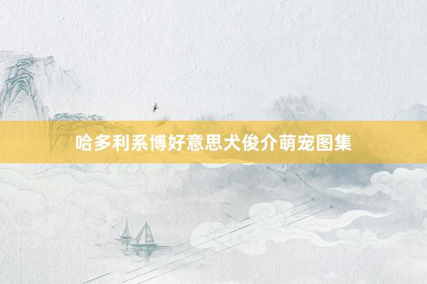 哈多利系博好意思犬俊介萌宠图集