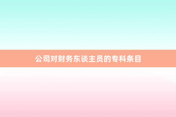 公司对财务东谈主员的专科条目